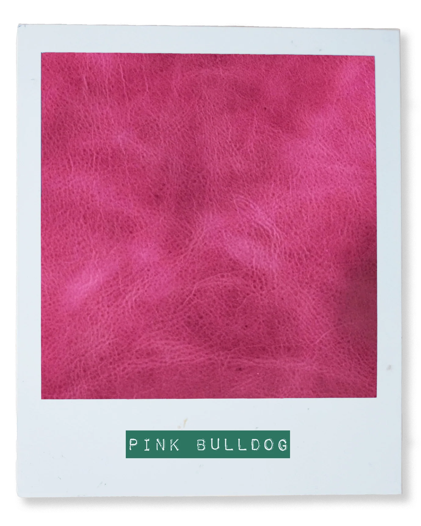 Pink Bulldog Mini Zip-Top Bucket Bag - Image 6