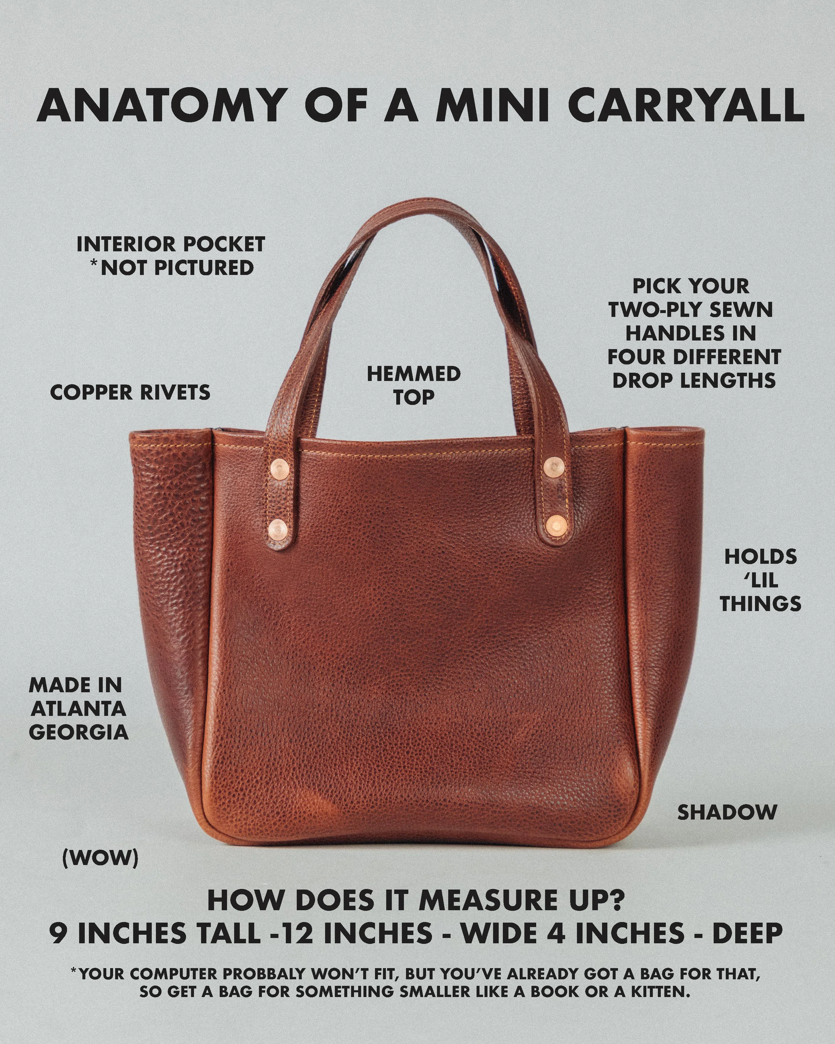 Dark Teal Bulldog Mini Carryall - Image 4